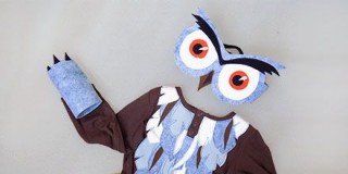 Карнавальный костюм совы с глазами, митенками и перьями
